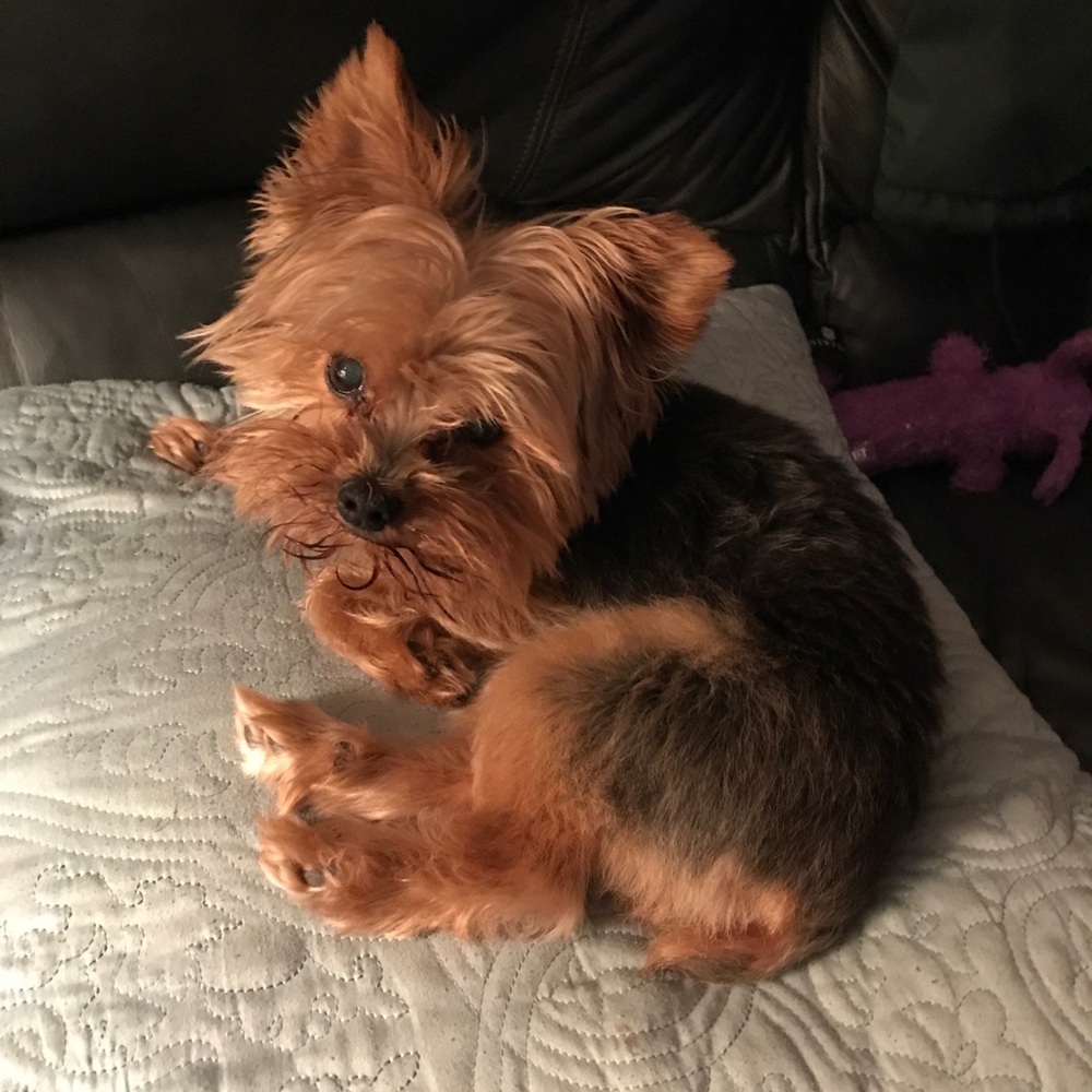 Meet your Posher, Cheryl